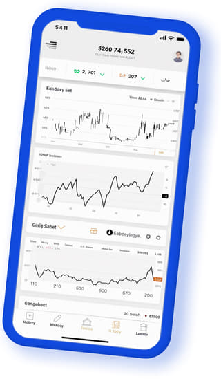 Delta Equimere mobile interface displayed on a handheld device